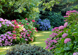 Desk calendar, spiral-bound with self stand ( Design 11)