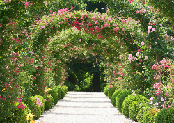 Desk calendar, spiral-bound with self stand ( Design 11)