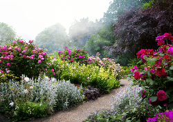 Desk calendar, spiral-bound with self stand ( Design 11)