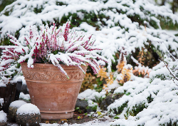 Desk calendar, spiral-bound with self stand ( Design 11)