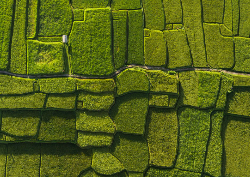 Desk calendar, spiral-bound with self stand (Design 12)