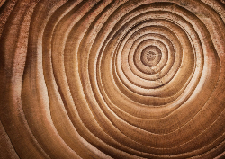 Desk calendar, spiral-bound with self stand (Design 12)