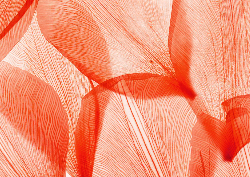 Desk calendar, spiral-bound with self stand (Design 12)