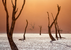 Desk calendar, spiral-bound with self stand (Design 12)