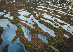 Desk calendar, spiral-bound with self stand (Design 12)