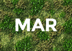 Desk calendar, spiral-bound with self stand (Design 14)