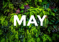 Desk calendar, spiral-bound with self stand (Design 14)