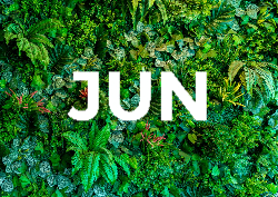 Desk calendar, spiral-bound with self stand (Design 14)