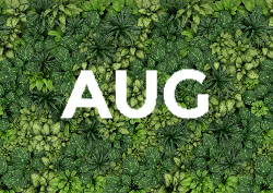 Desk calendar, spiral-bound with self stand (Design 14)