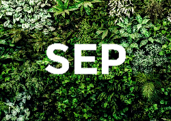 Desk calendar, spiral-bound with self stand (Design 14)