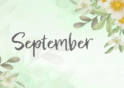 Desk calendar, spiral-bound with self stand (Design 16)