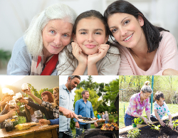 2025 Wall Calendar 11x17 folds to 8.5 x 11 ( Design 20)