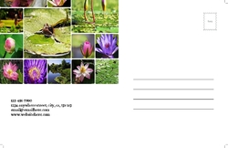 holidays-company-postcard-9