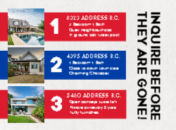 Postcard 4.25x5.5 (Re/Max The House for You - 12)