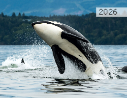 Nature Wall Calendar