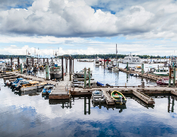 Nature Wall Calendar