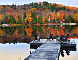 Nature Wall Calendar