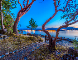 Nature Wall Calendar