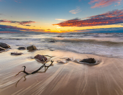 Nature Wall Calendar