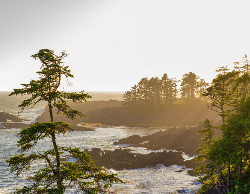 Nature Wall Calendar