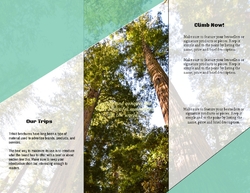 Mountains Landscape Travel Trifold Brochure