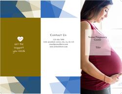 Pregnancy Medical Trifold Brochure