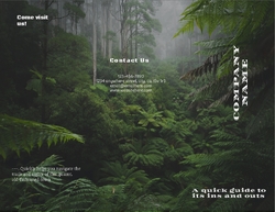 Mountain Tours Travel Brochure