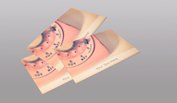 24Hr Postcards 24Hr Postcards
