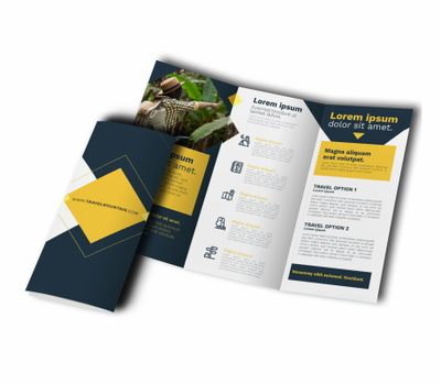 Standard Brochures