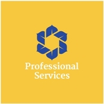 Professional Services Mini Business Card