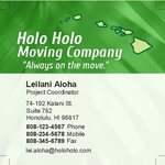 Holo Holo Mini-Square Business Cards