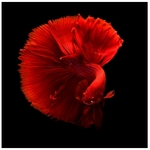 Arts And Crafts Mini Business Cards